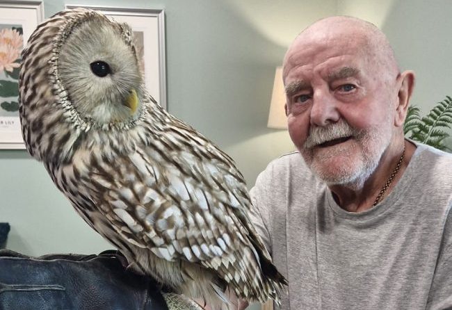 Resident at Bingley Park Care Home in Bingley, Bradford, enjoying a visit from an owl.